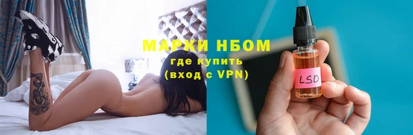 сатива Горняк