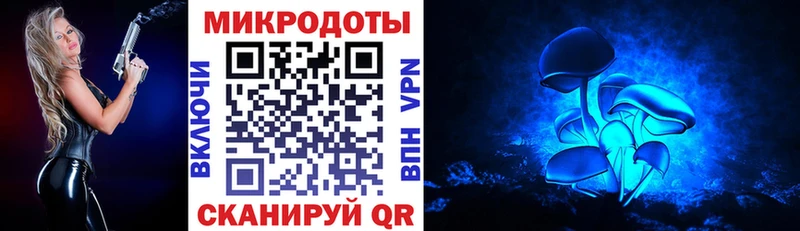 Галлюциногенные грибы мухоморы  Славск 