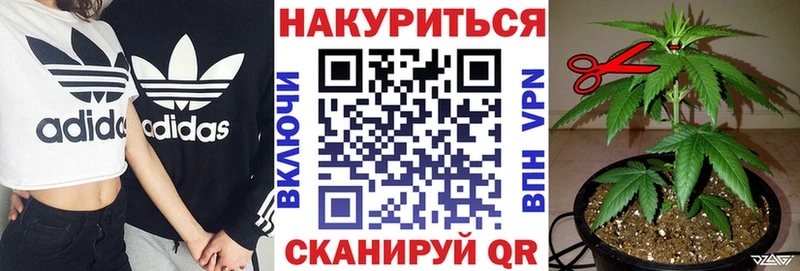 omg как войти  Славск  Канабис марихуана 